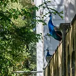 Casas Da Tapada